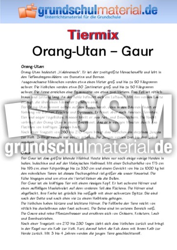 Orang-Utan - Gaur.pdf